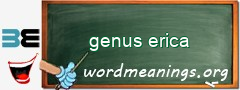 WordMeaning blackboard for genus erica